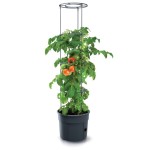 Květináč Prosperplast TOMATO GROWER na pěstování rajčat 39,2 cm antracit
